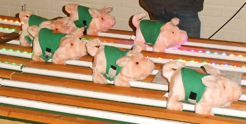 Pink Pigs